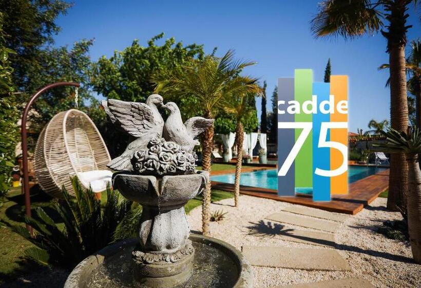 Люкс Повышенной Комфортности, Cadde 75
