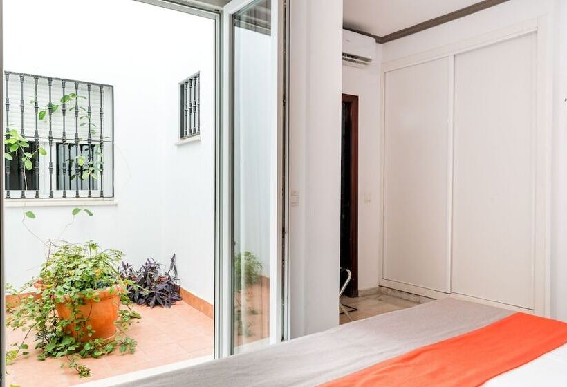 اتاق اکونومی, Cool Sevilla