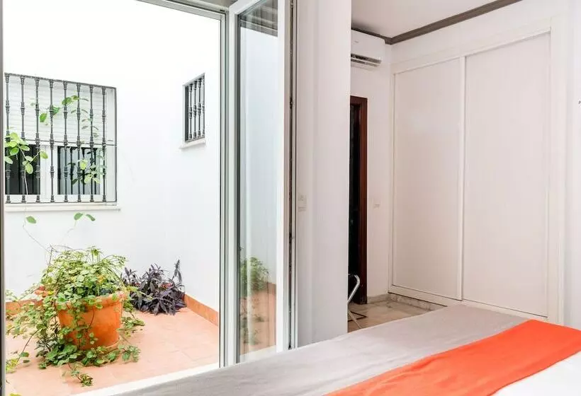 اتاق اکونومی, Cool Sevilla