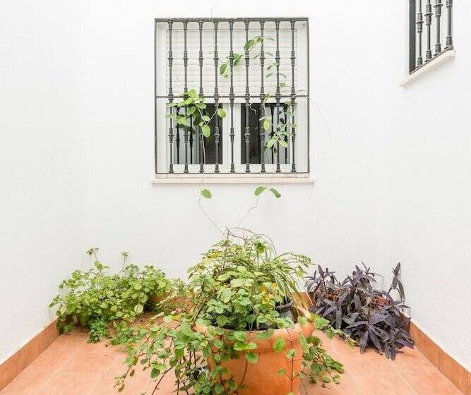 اتاق اکونومی, Cool Sevilla