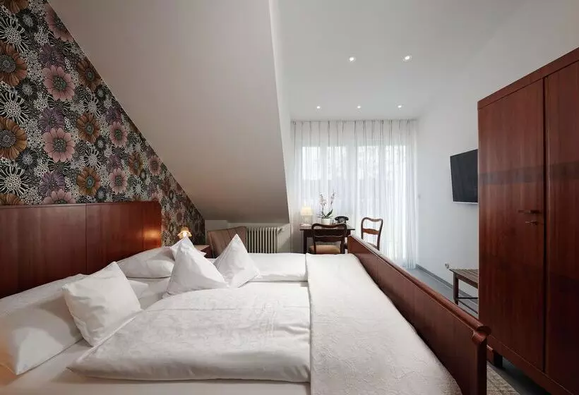 スタンダードルーム, Design Boutique Hotel Vosteen