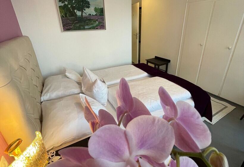 스탠다드 룸, Design Boutique Hotel Vosteen