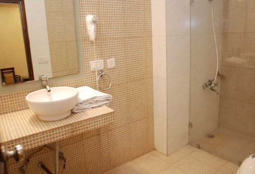 Номер Стандарт, Emperor Palms At Karol Bagh