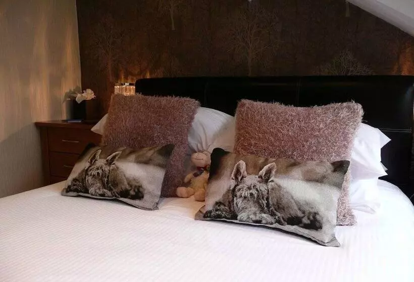 اتاق کلاسیک, Glenville House   Adults Only   Incl Free Off Site Health Club With Swimming Pool, Hot Tub, Sauna &