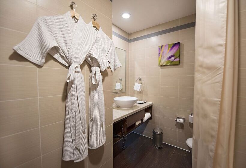 Номер Стандарт Двуспальная Кровать, Hilton Garden Inn New Delhi/saket