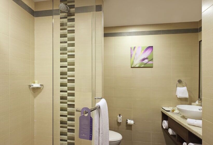 Номер Стандарт Двуспальная Кровать, Hilton Garden Inn New Delhi/saket