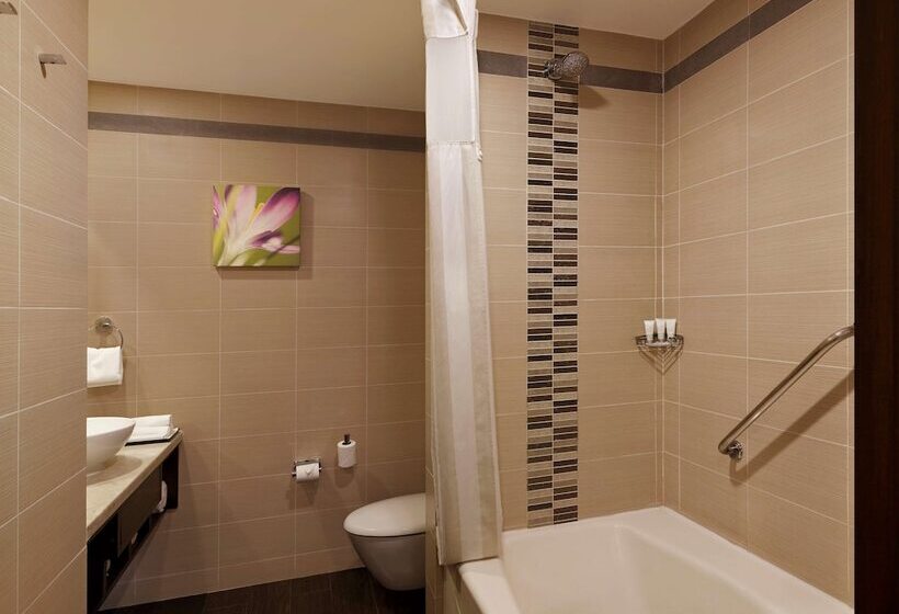 Номер Стандарт, Hilton Garden Inn New Delhi/saket