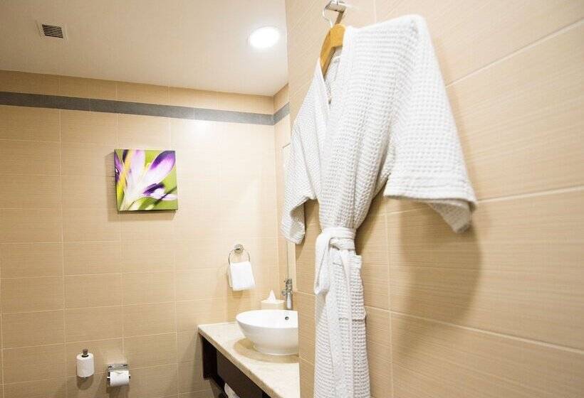 Номер Премиум, Hilton Garden Inn New Delhi/saket