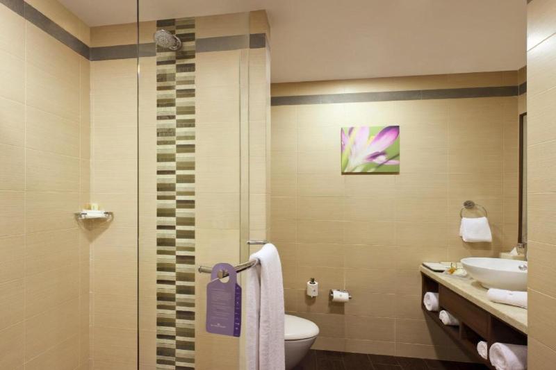 Номер Премиум, Hilton Garden Inn New Delhi/saket