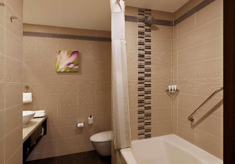 اتاق استاندارد, Hilton Garden Inn New Delhi/saket