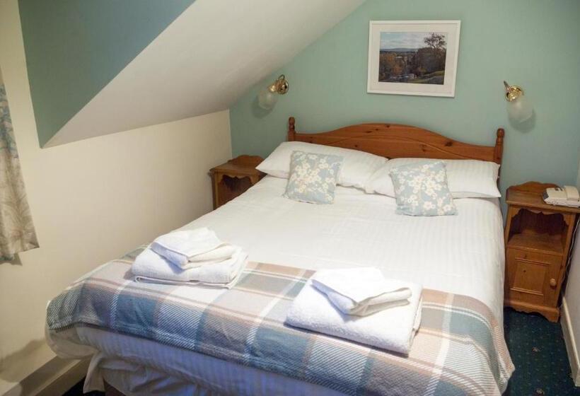 חדר בסיסי, The Dragon