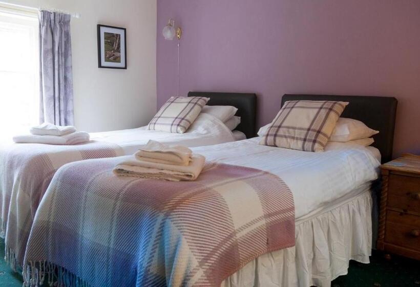 חדר סופריור, The Dragon