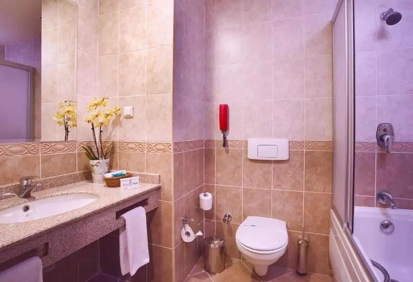 Standard Room, The Green Park Kartepe