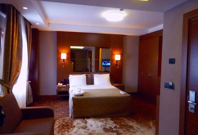 Executive Room, The Green Park Kartepe