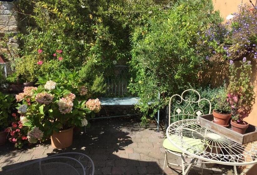 غرفة قياسية رباعية, The Royal Harbour