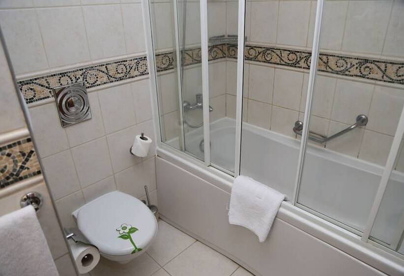 غرفة قياسية, Lidya Sardes Hotel Thermal & Spa