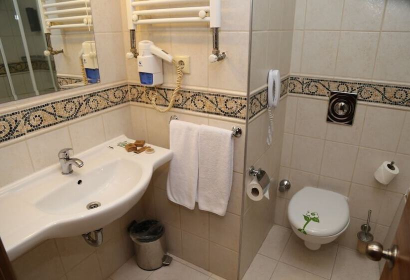 غرفة قياسية, Lidya Sardes Hotel Thermal & Spa