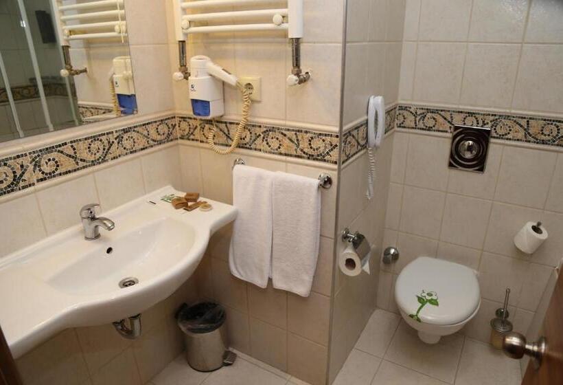 غرفة قياسية, Lidya Sardes Hotel Thermal & Spa