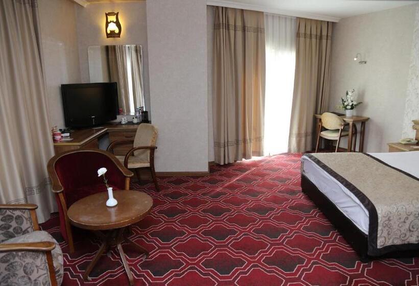 غرفة قياسية, Lidya Sardes Hotel Thermal & Spa