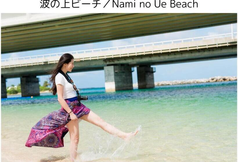 スタンダードスタジオ, Matsuyama Stay