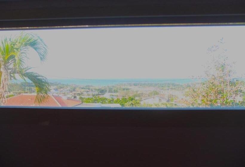 شقة غرفة واحدة, Somos