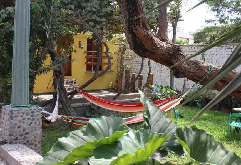 اتاق استاندارد با تراس, Hostal Loma Blanca
