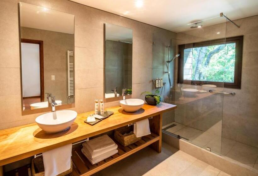 اتاق استاندارد با تراس, Rakau Lodge