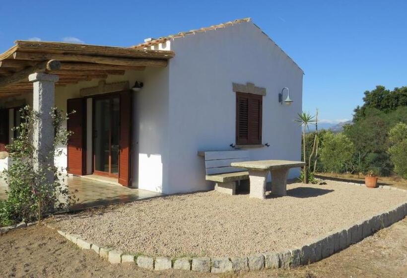 غرفة قياسية داخلية, Macciuneddu Country Retreat