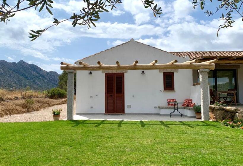 غرفة قياسية مطلّة علي الحديقة, Macciuneddu Country Retreat