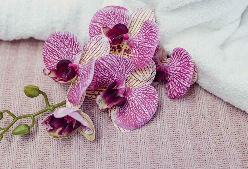 발코니 디럭스 룸, La Punta