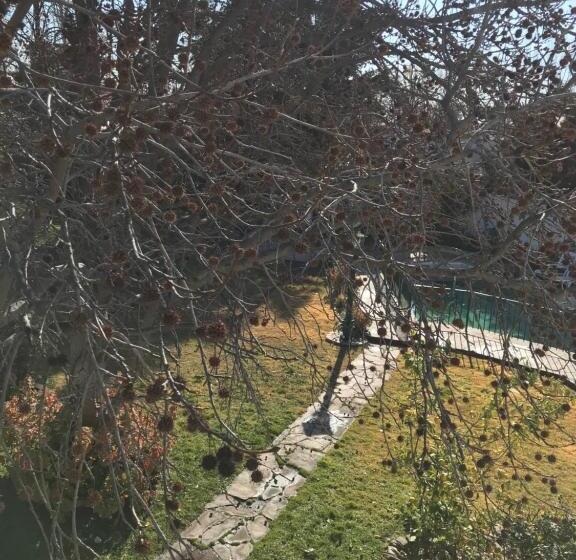 חדר משפחתי נוף לגינה, Chenin Lodge