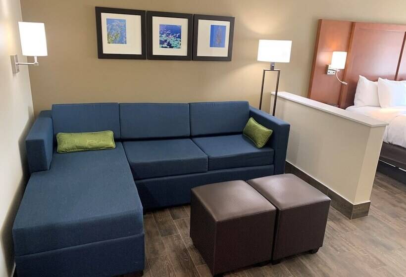 جناح لذوى الاحتياجات الخاصة, Comfort Suites West Monroe Near Ike Hamilton Expo Center