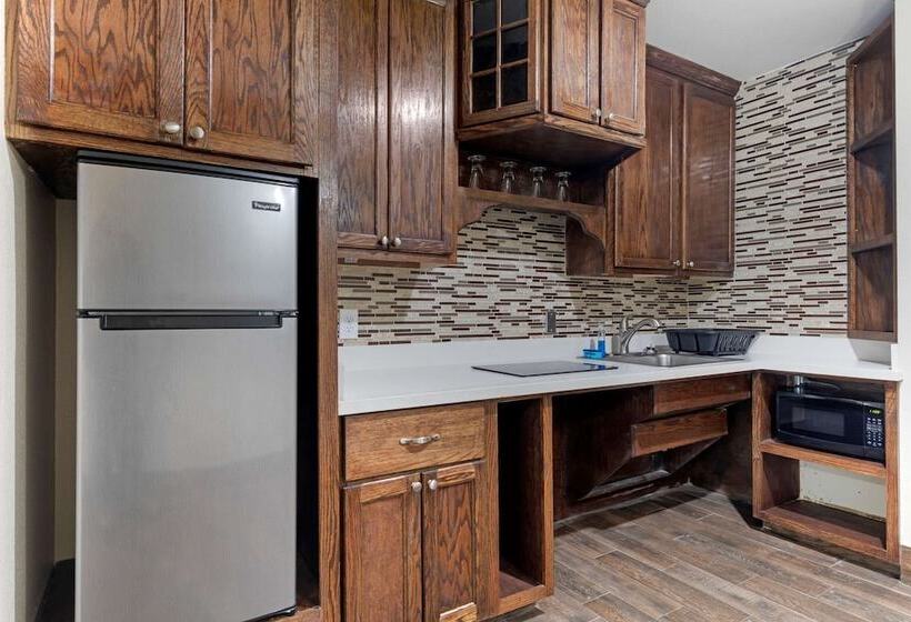 جناح لذوى الاحتياجات الخاصة, Comfort Suites West Monroe Near Ike Hamilton Expo Center