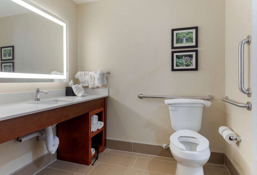 جناح لذوى الاحتياجات الخاصة, Comfort Suites West Monroe Near Ike Hamilton Expo Center