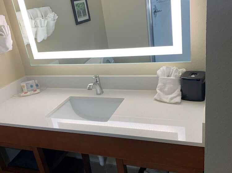 Люкс Адаптированный для Инвалидов, Comfort Suites West Monroe Near Ike Hamilton Expo Center