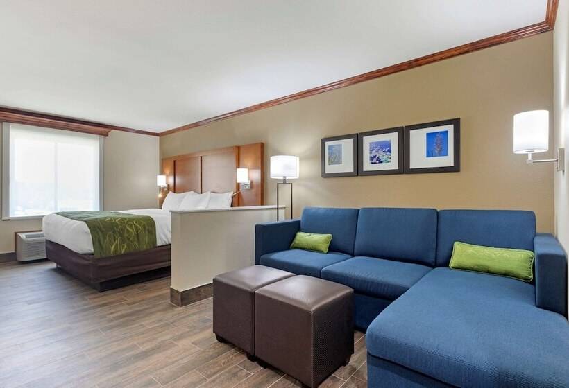 جناح, Comfort Suites West Monroe Near Ike Hamilton Expo Center