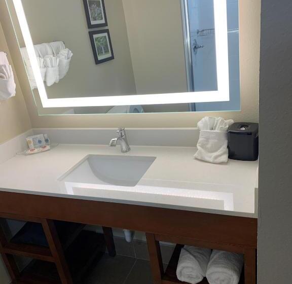 جناح سرير كينج, Comfort Suites West Monroe Near Ike Hamilton Expo Center