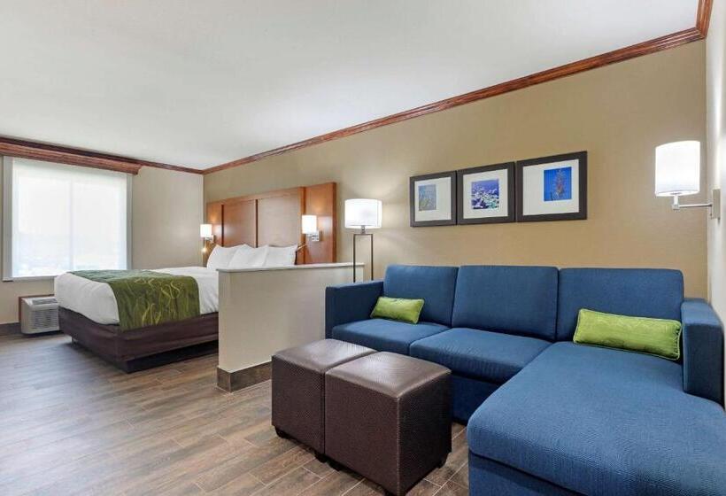 جناح سرير كينج, Comfort Suites West Monroe Near Ike Hamilton Expo Center