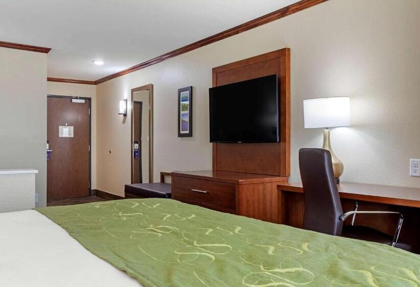 جناح سرير كينج, Comfort Suites West Monroe Near Ike Hamilton Expo Center
