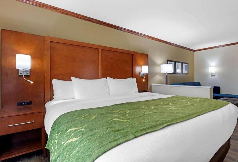 جناح سرير كينج, Comfort Suites West Monroe Near Ike Hamilton Expo Center