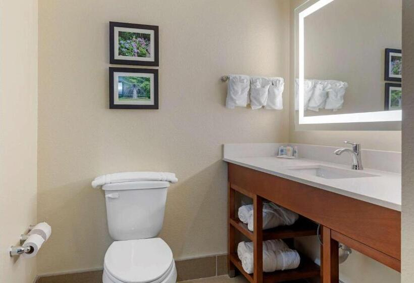 Люкс, Comfort Suites West Monroe Near Ike Hamilton Expo Center