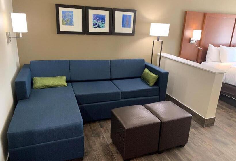 جناح إدارى سرير كينج, Comfort Suites West Monroe Near Ike Hamilton Expo Center
