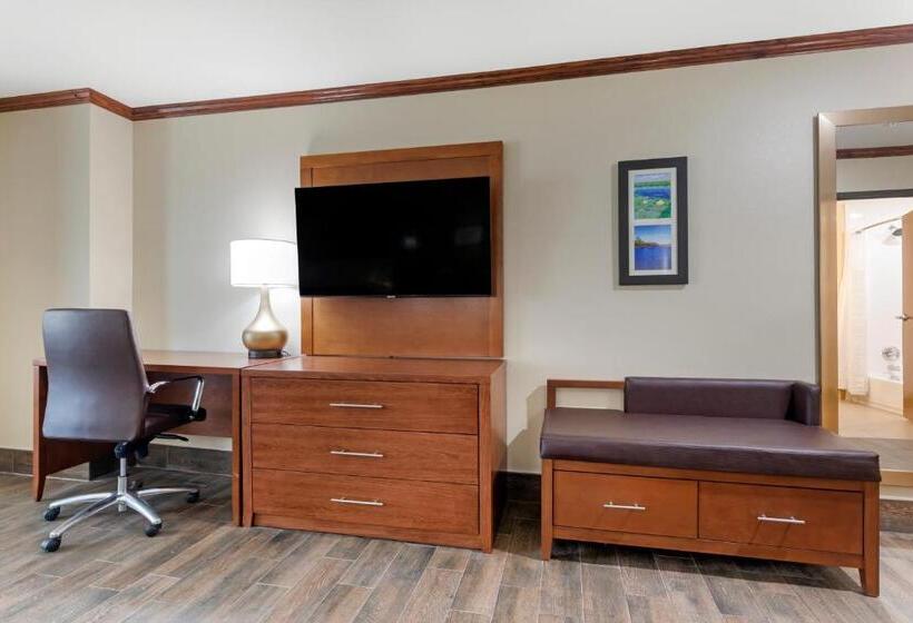 جناح إدارى سرير كينج, Comfort Suites West Monroe Near Ike Hamilton Expo Center
