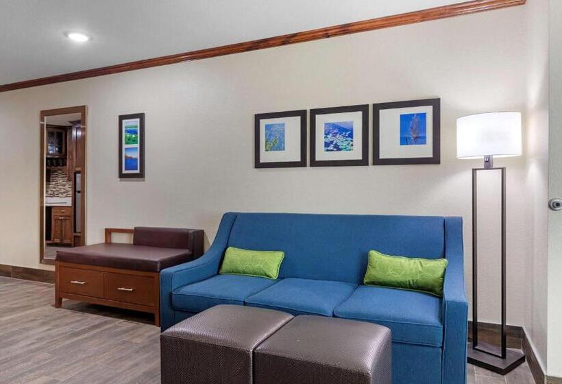 جناح لذوى الاحتياجات الخاصة, Comfort Suites West Monroe Near Ike Hamilton Expo Center