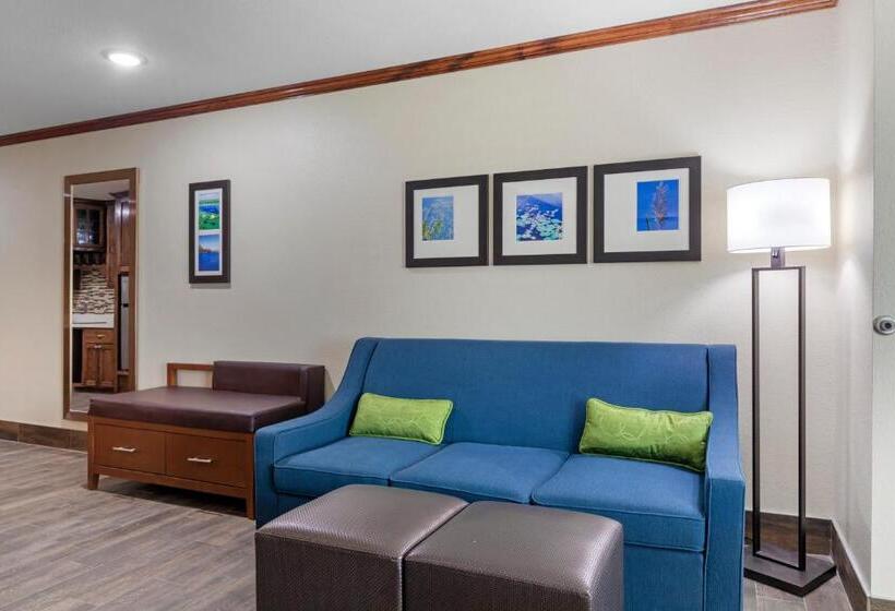 جناح لذوى الاحتياجات الخاصة, Comfort Suites West Monroe Near Ike Hamilton Expo Center