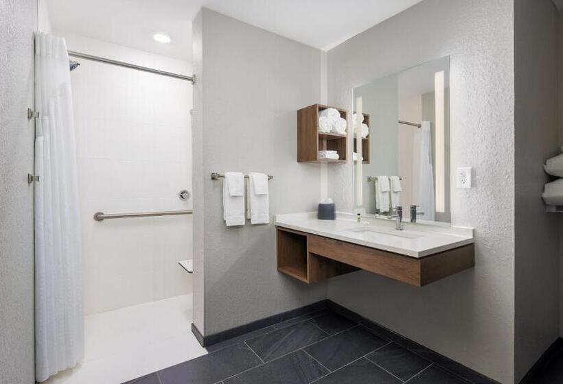 جناح لذوى الاحتياجات الخاصة, Staybridge Suites   Auburn   University Area, An Ihg