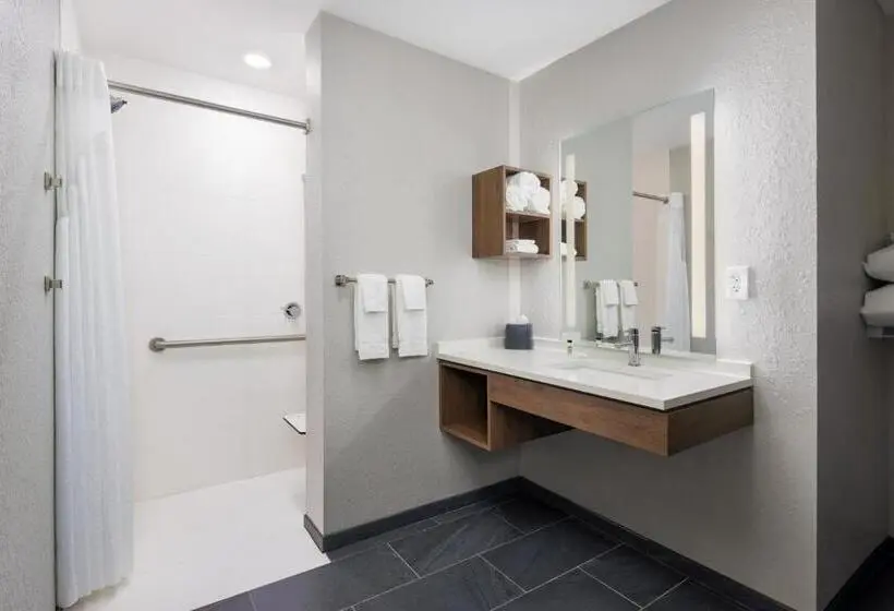 身障者適用スイートルーム, Staybridge Suites   Auburn   University Area, An Ihg
