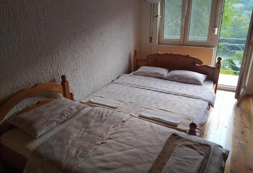 اتاق خانوادگی, Apartmani Zora Vuković