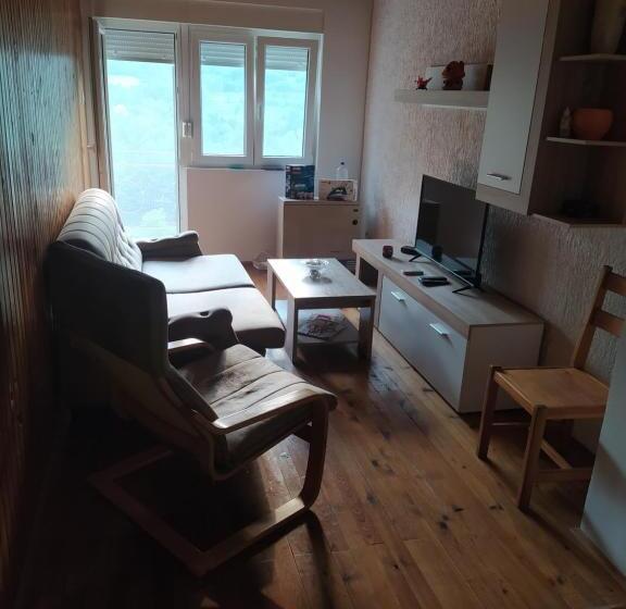 اتاق خانوادگی, Apartmani Zora Vuković