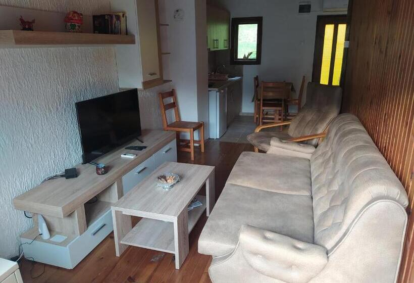 اتاق خانوادگی, Apartmani Zora Vuković